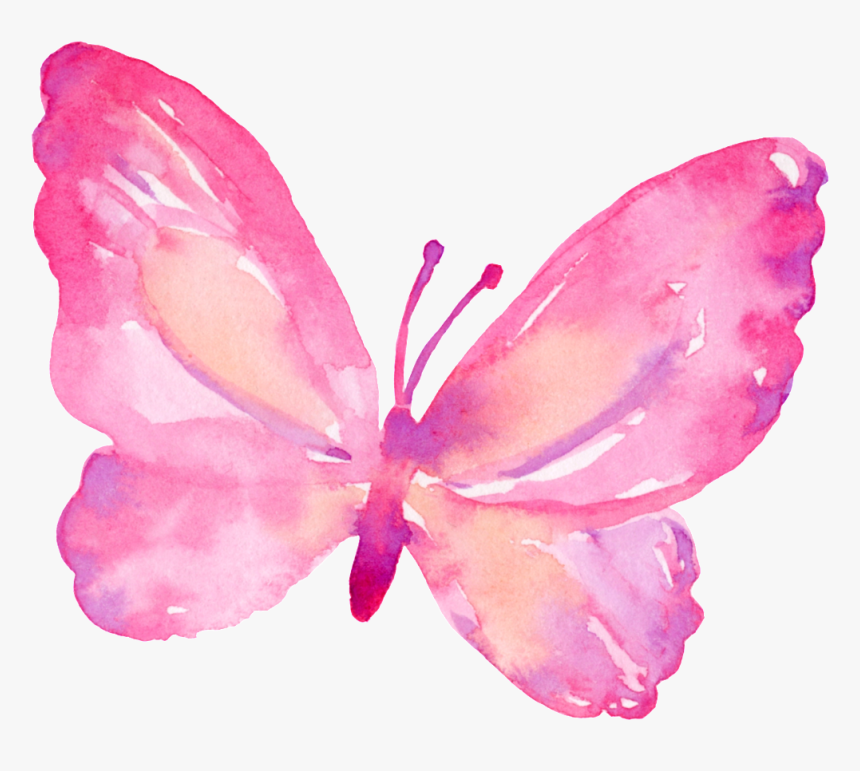 Pink Butterfly Transparent - Borboleta Desenho Png Fundo Transparente, Png Download, Free Download