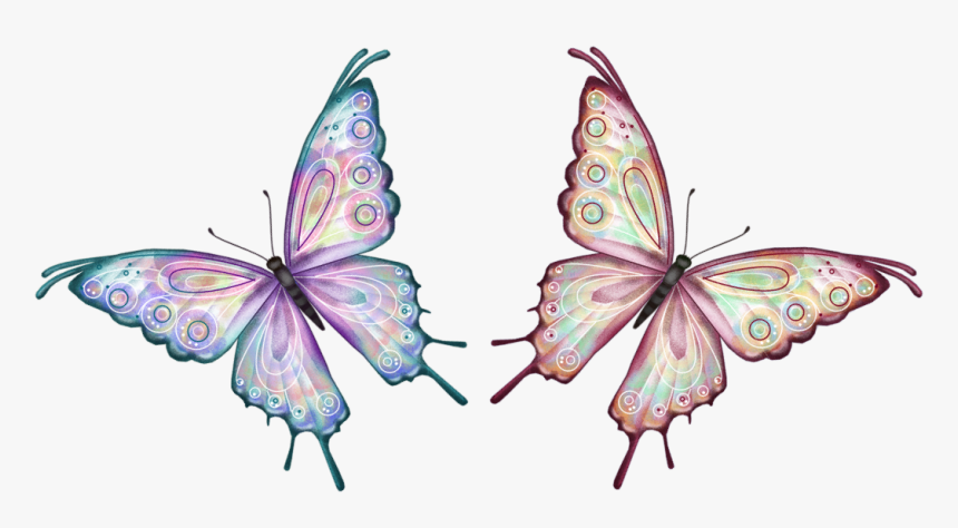 Butterfly Animated Gif Png, Transparent Png, Free Download