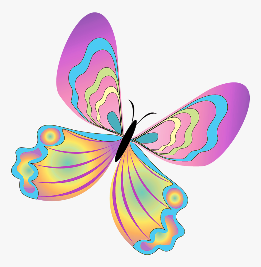 Borboleta Bonita Colorida 10 - Png Format Butterfly Clipart Png, Transparent Png, Free Download