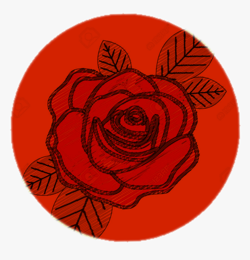 Circulo Rojo Png - Drawing Of Red Rose, Transparent Png, Free Download