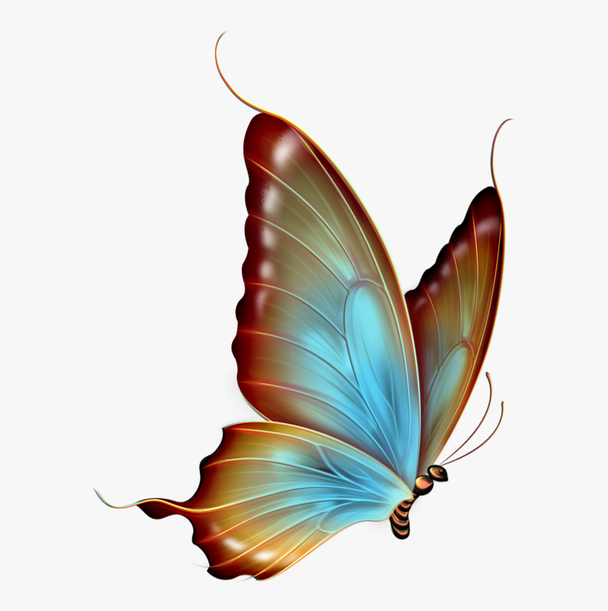 Transparent Background Butterfly Clipart, HD Png Download, Free Download