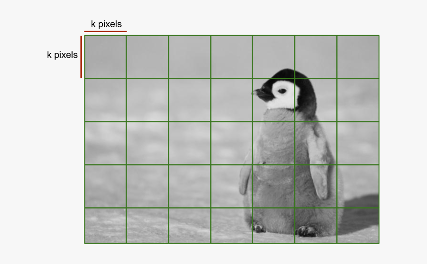 Grid - Baby Penguin In Snow, HD Png Download, Free Download