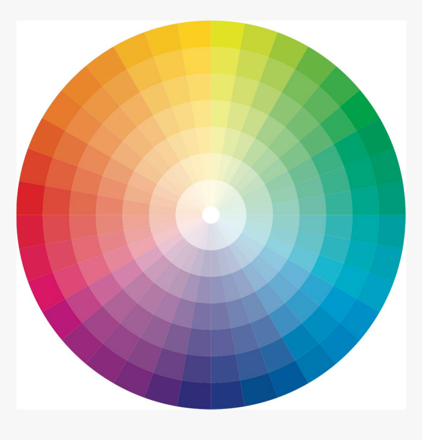 Skin Color In Color Wheel, HD Png Download, Free Download