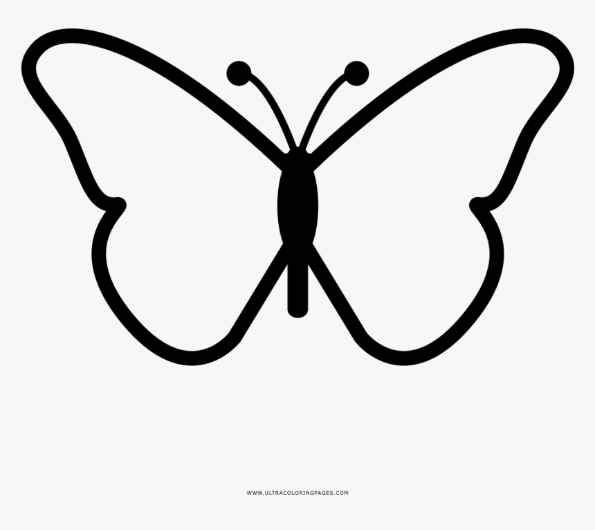 Butterfly Coloring Page - Butterfly Design Drawing Easy, HD Png