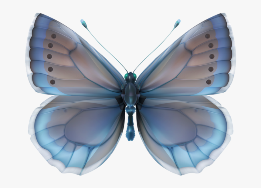 Borboleta Realista Azul - Decoupage Butterflies In Blue, HD Png Download, Free Download