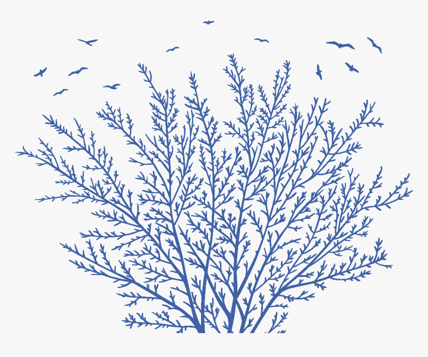 Blucitrus Tree - Illustration, HD Png Download, Free Download