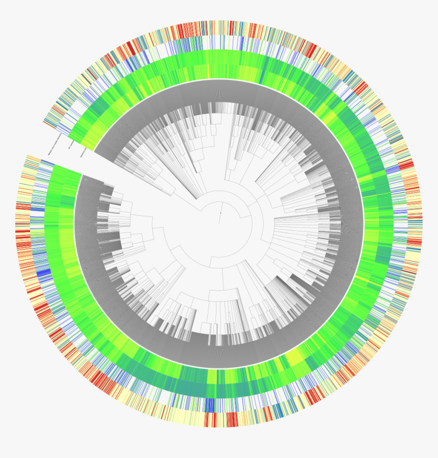 Circle, HD Png Download, Free Download