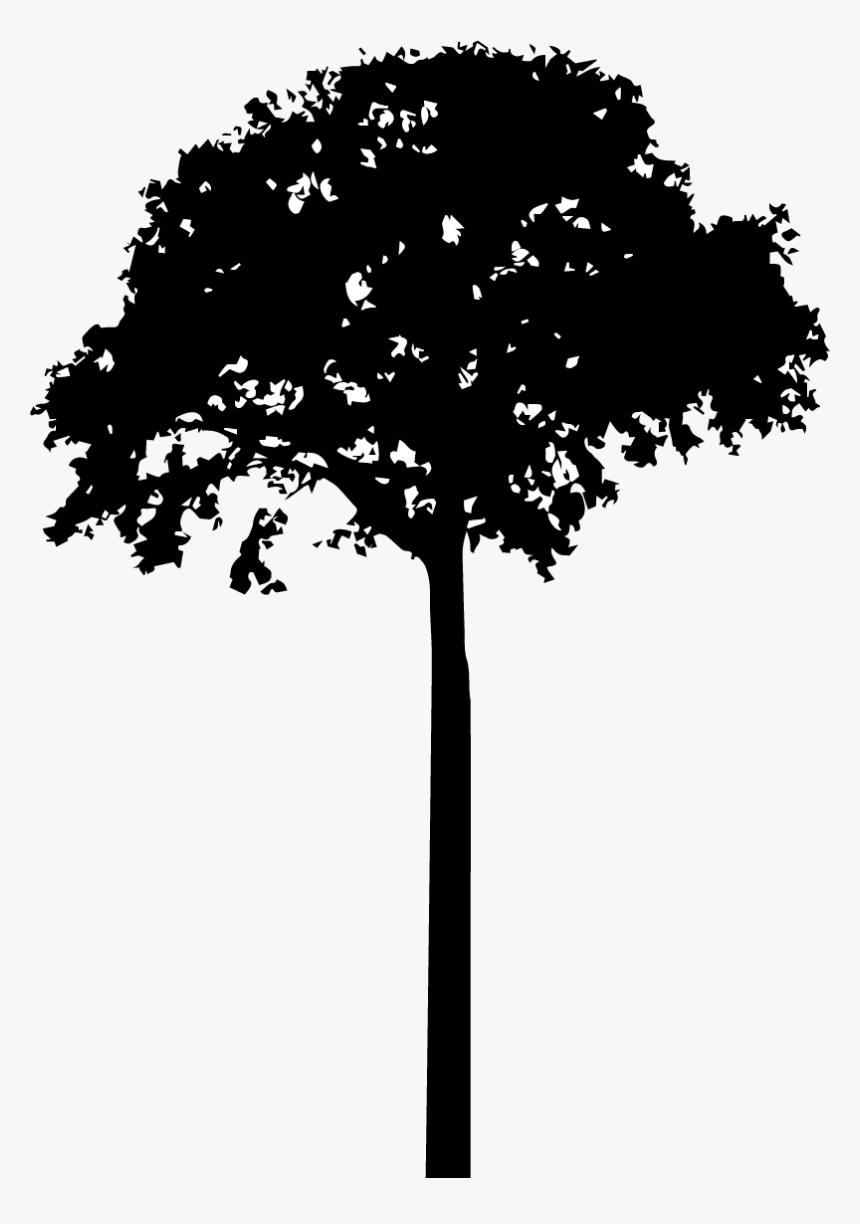 Tree - Tree Silhouette Png, Transparent Png, Free Download