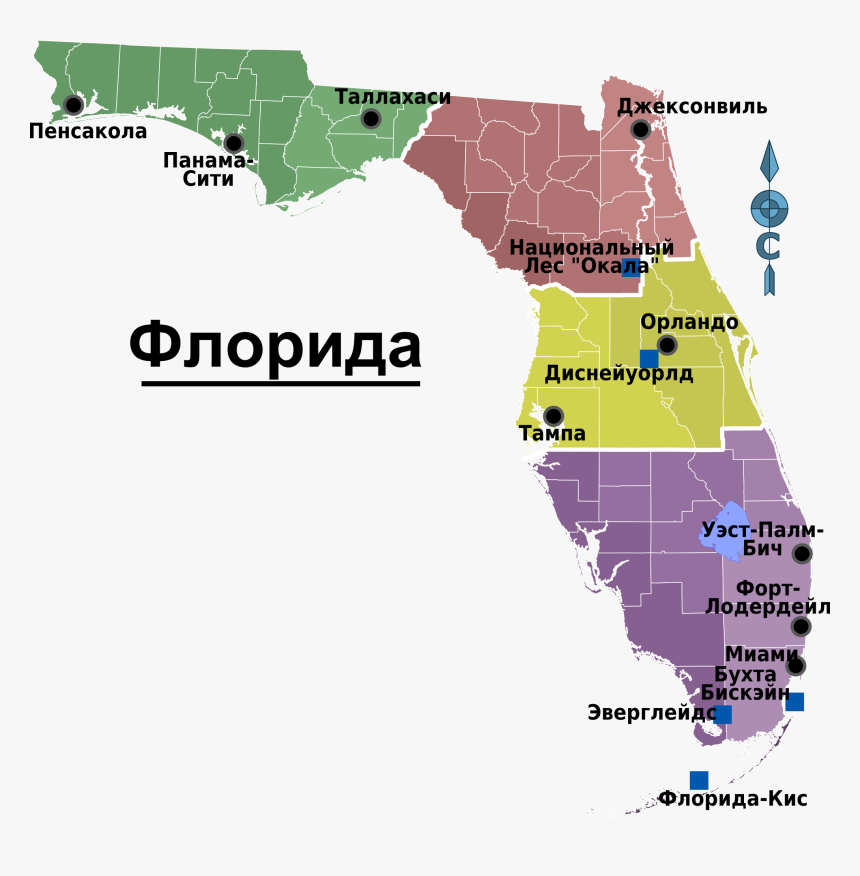 Map Of Florida Regions With Cities - Florida Regions, HD Png Download, Free Download