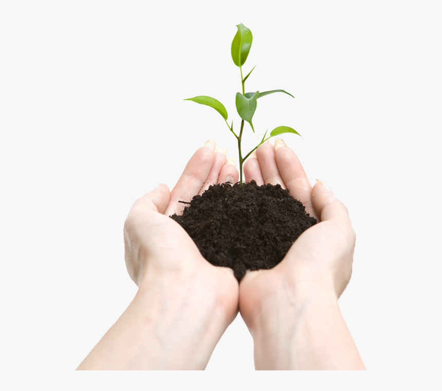 Soil In Hands Png - Soil In Hand Png, Transparent Png, Free Download