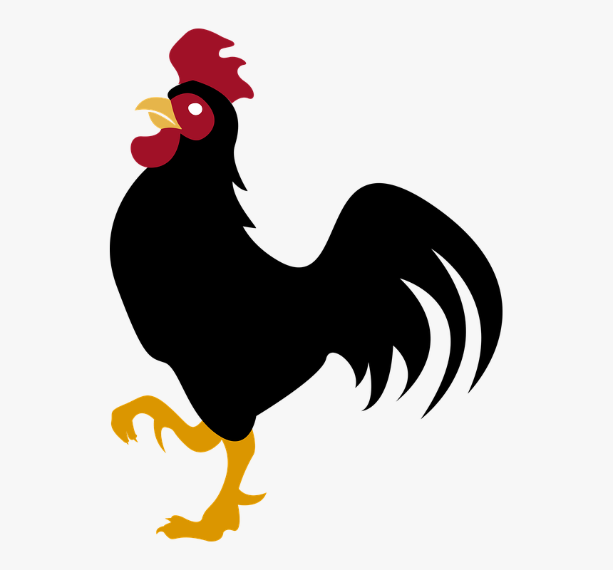 Gallo, Animal, Crest, Ave, Black, Peak, Animals, Bird - Gallo Png, Transparent Png, Free Download