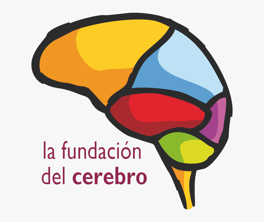 Semana Del Cerebro, HD Png Download, Free Download