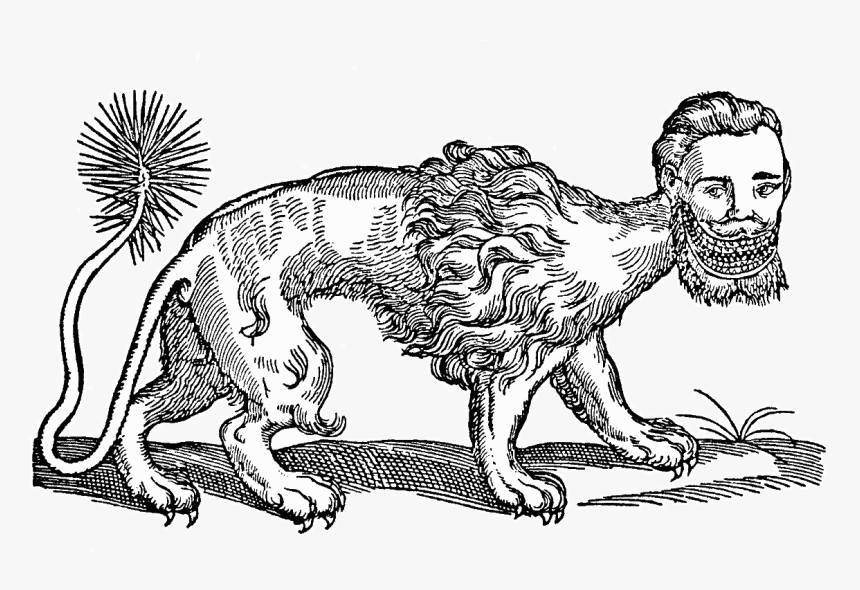 Edward Topsell Manticore, HD Png Download, Free Download