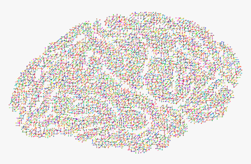 Mitos Y Verdades Sobre El Cerebro - Brain Eegs, HD Png Download, Free Download