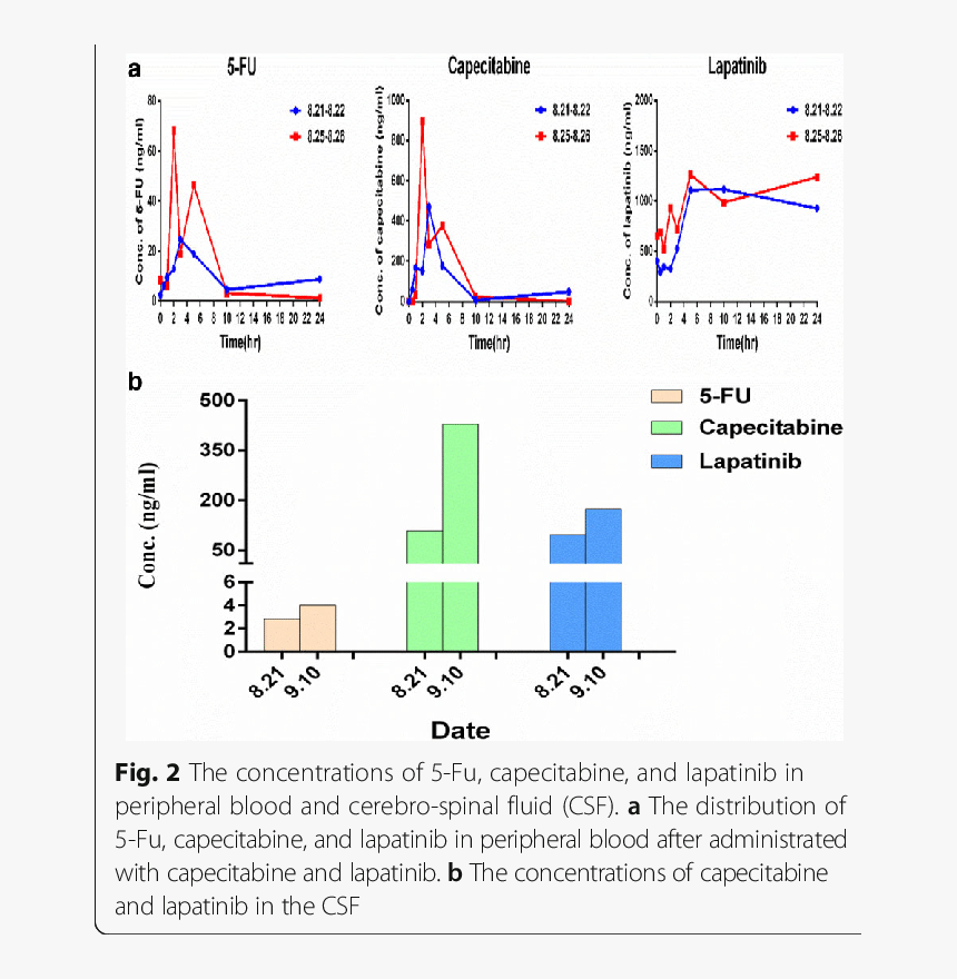 Diagram, HD Png Download, Free Download