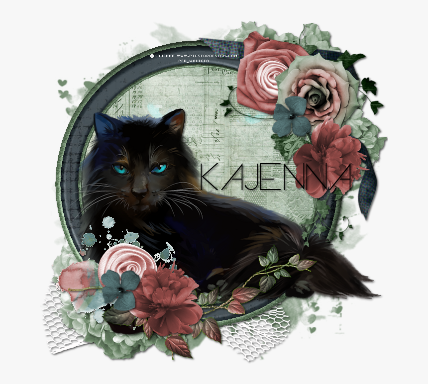 Black Cat, HD Png Download, Free Download