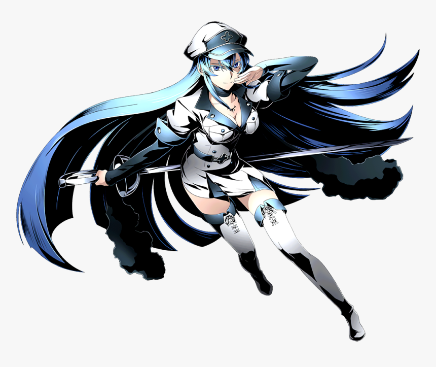 Isnt That Essentially Was Esdeath From Akame Ga Kill, HD Png Download, Free Download