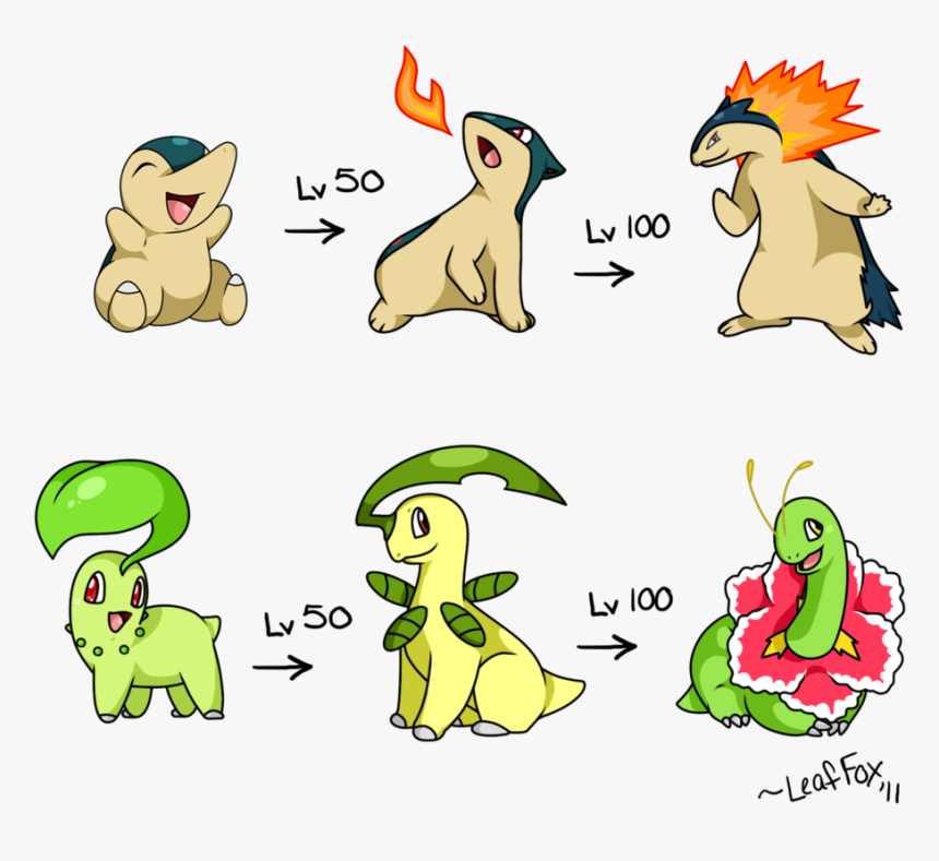 Chikorita Pokemon Evolution Chart , Png Download - Chikorita Pokemon Evolution Chart, Transparent Png, Free Download