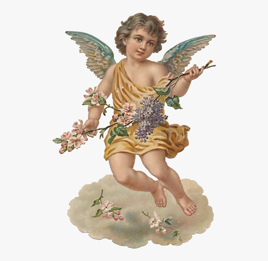 #cherub #angel #lilangel #aesthetic #softaesthetic - Angel Aesthetic Png, Transparent Png, Free Download