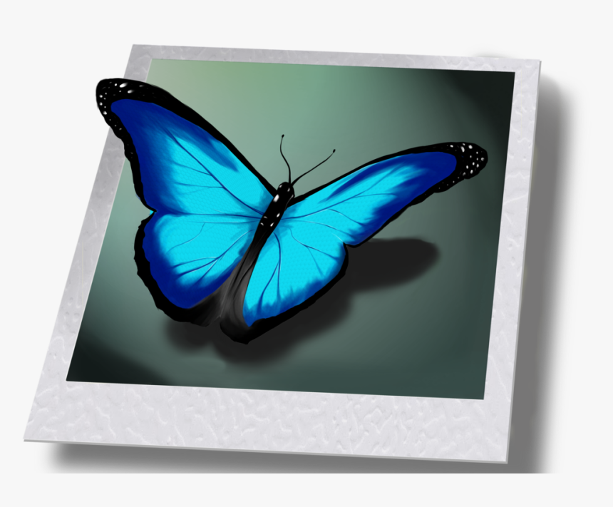 Life Is Strange Butterfly Drawing, HD Png Download, Free Download
