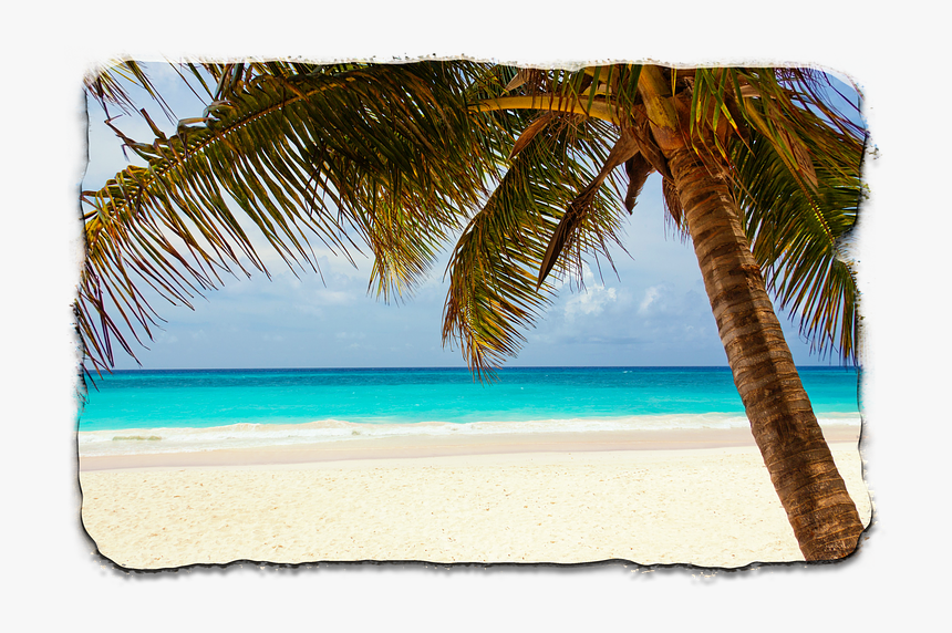 Colony Beach Florida, HD Png Download, Free Download