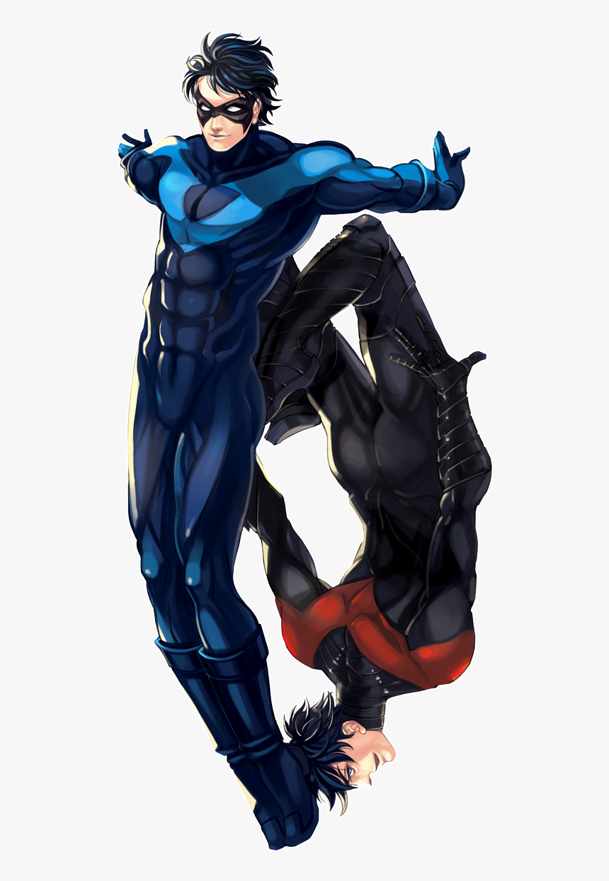 Two Nightwings By Operapink Batman Robin, Robin Dc, - Old Nightwing, HD Png Download, Free Download