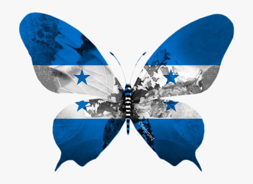 Germany Eurovision 2013 Butterfly, HD Png Download, Free Download