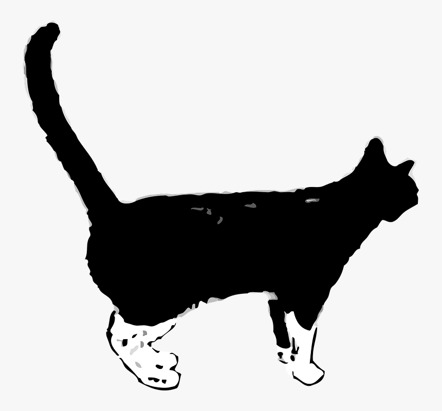 Black Cat White Paws Art, HD Png Download, Free Download