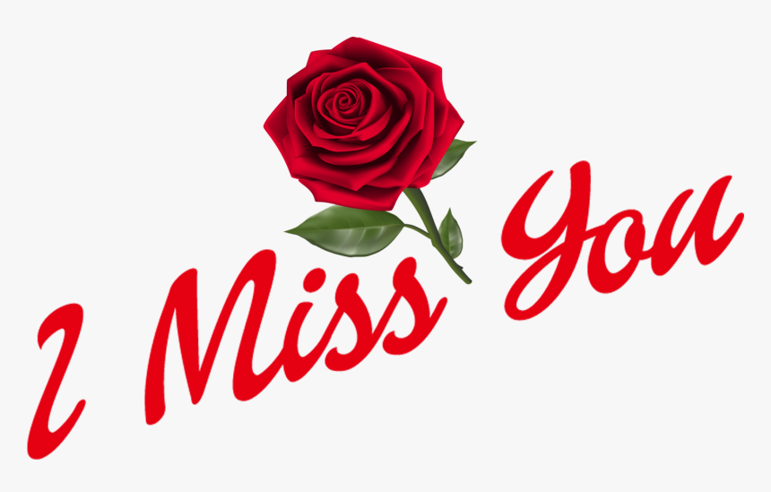 I Miss You Png Hd Images - Floribunda, Transparent Png, Free Download