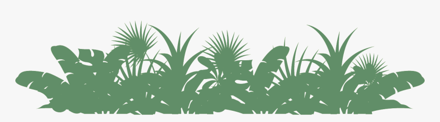 Rainforest Png Photo - Rainforest Png, Transparent Png, Free Download