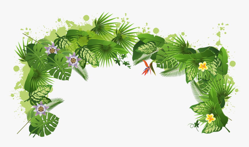 Rainforest Clipart Rain Forest - Tropical Rainforest Transparent Background, HD Png Download, Free Download