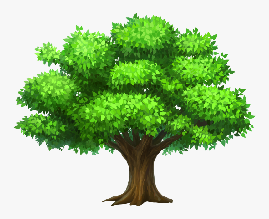 Pin Rainforest Clipart Narra - Tree Clipart, HD Png Download - kindpng