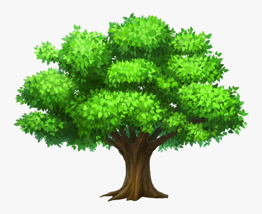 Pin Rainforest Clipart Narra - Tree Clipart, HD Png Download, Free Download