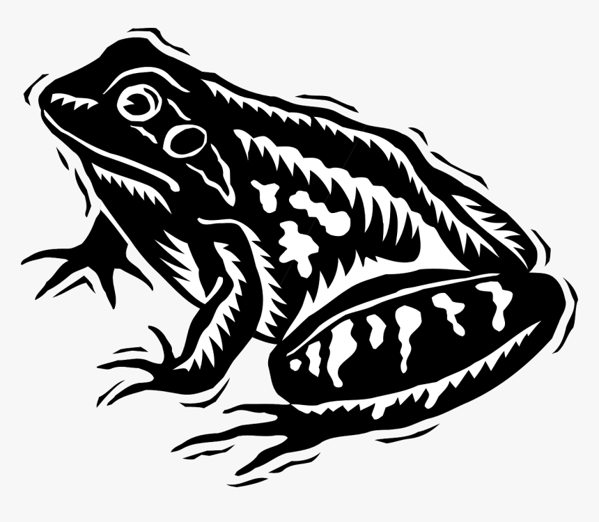 Black And White Frog Svg, HD Png Download, Free Download