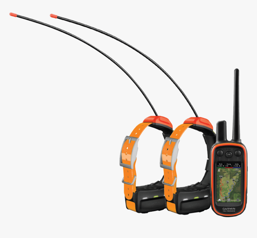garmin alpha 100 with tt15 collar