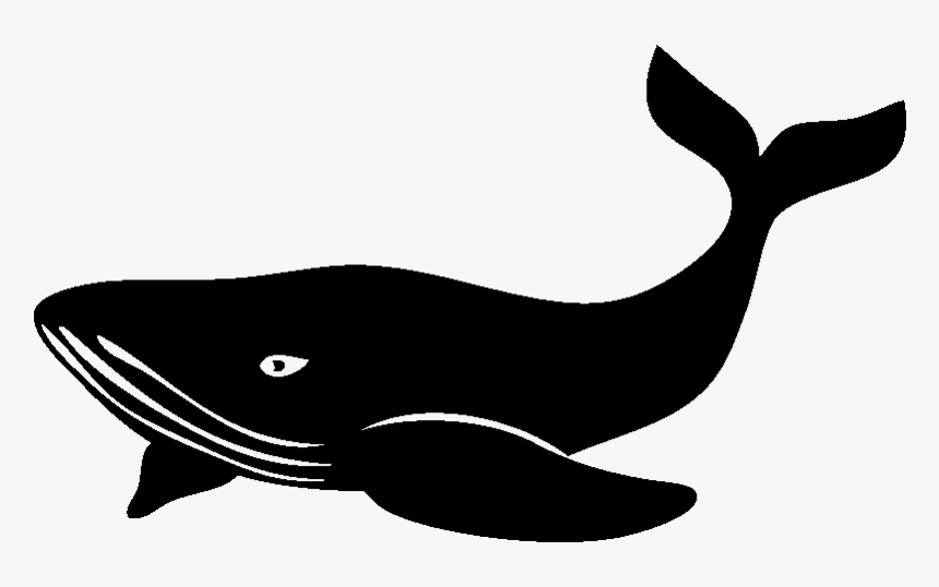 Sticker Baleine Majestueuse Ambiance Sticker Kc7648 - Killer Whale, HD Png Download, Free Download