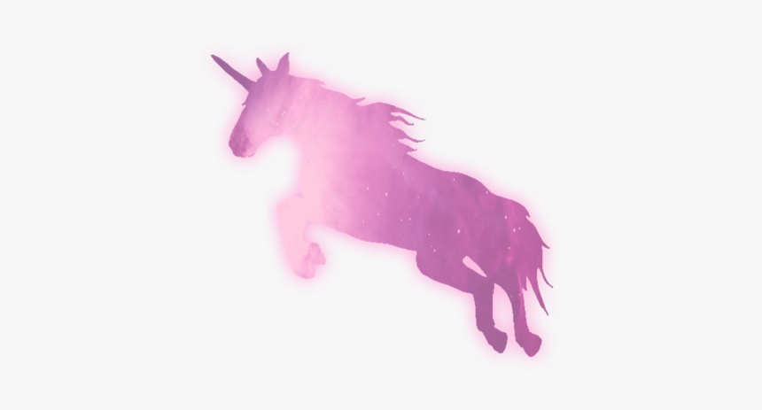 Transparent And Unicorn Image Cute T Shirts For Roblox Hd Png Download Kindpng