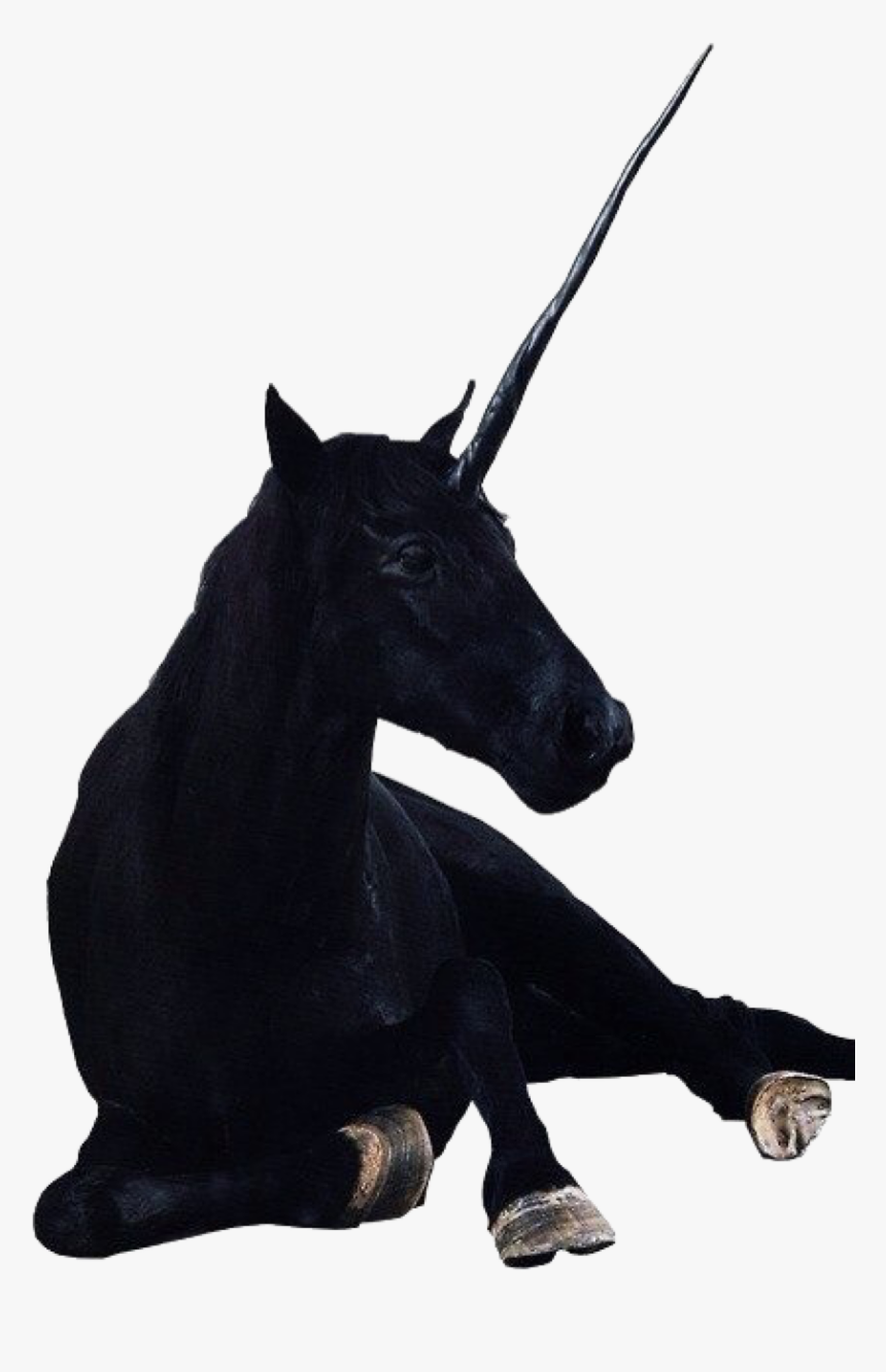 Black Unicorn - Black Unicorn Png Transparent, Png Download, Free Download