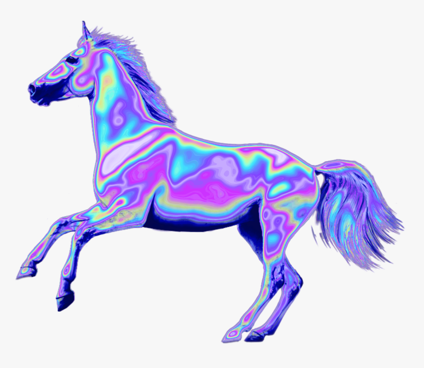 Png, Unicorn, And Png Tumblr Image - White Horse Transparent Background, Png Download, Free Download