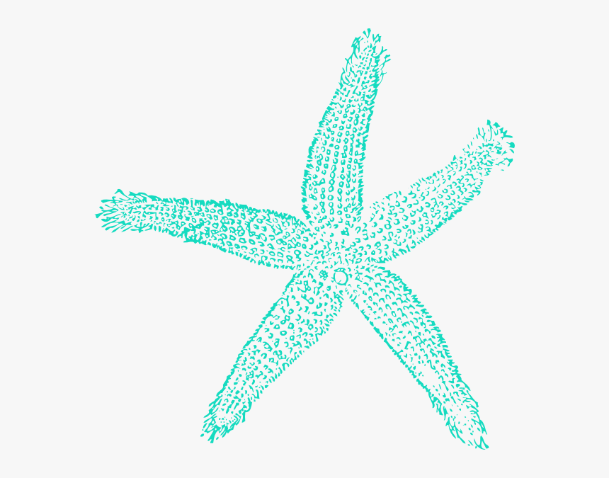 Download For Free Starfish Png In High Resolution - Fish Clip Art, Transparent Png, Free Download
