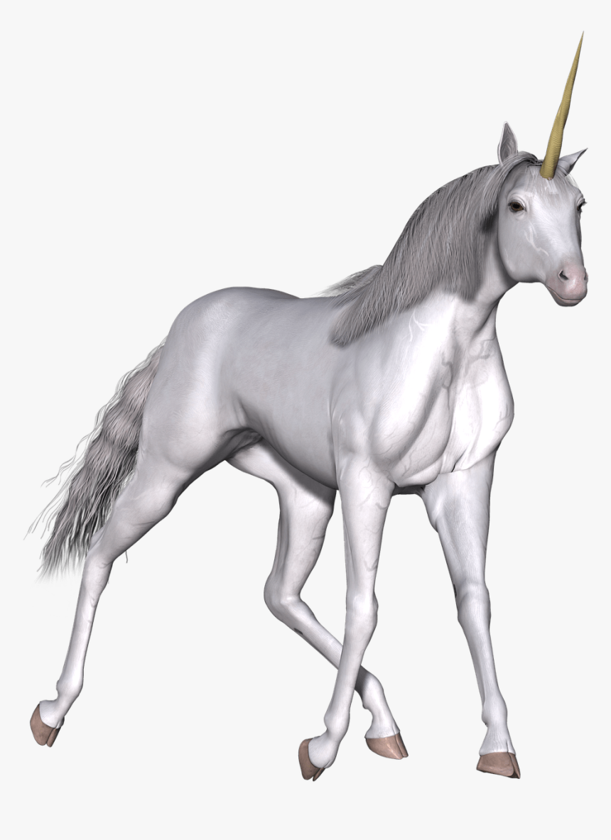 Full White Unicorn Walking - Unicorn Gazelle, HD Png Download, Free Download