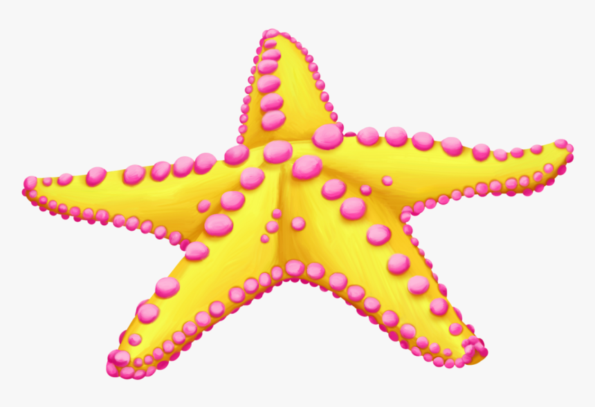 Starfish Clip Art Sea Image - Colorful Starfish Clip Art, HD Png Download, Free Download