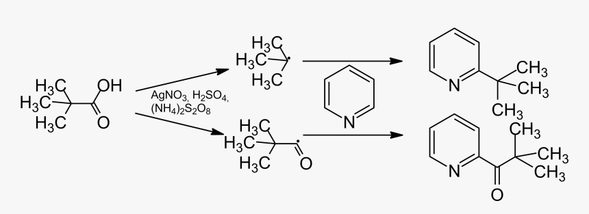 File - Minisci-mech - Calcium D Pantothenate Chemical Structure, HD Png Download, Free Download