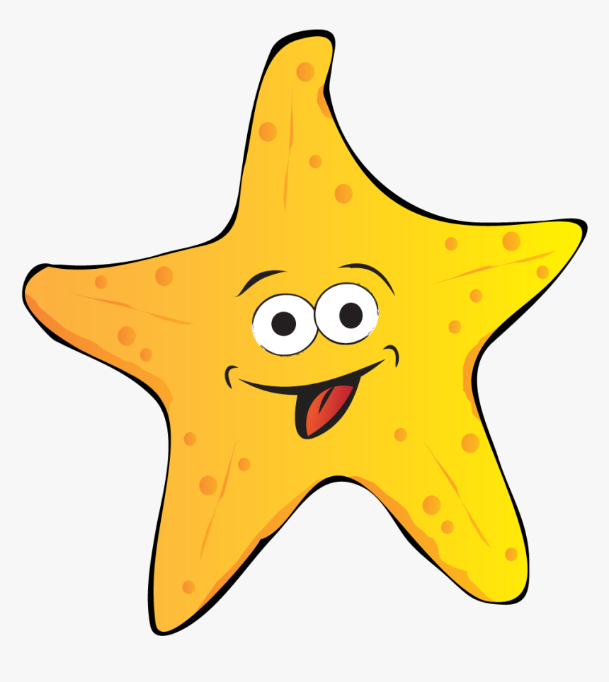 Transparent Starfish Png - Portable Network Graphics, Png Download, Free Download