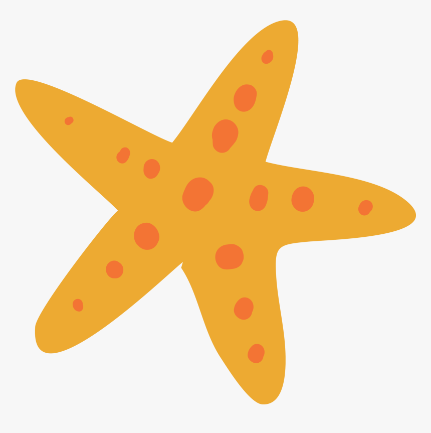 Starfish, HD Png Download, Free Download