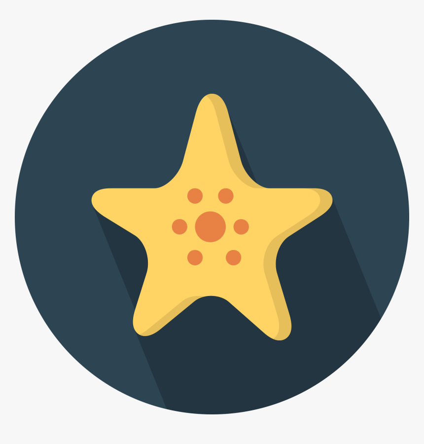 Starfish Png 17, Buy Clip Art - Camera Icon, Transparent Png, Free Download