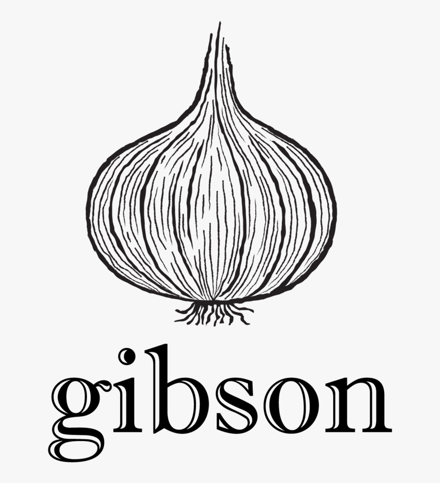 White Transparent Png, Png Download, Free Download