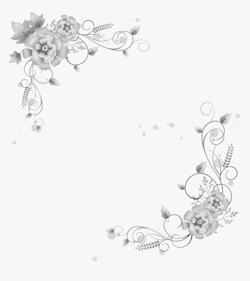 Vector Photograph White Border 花 の イラスト フリー 素材 Hd Png Download Kindpng