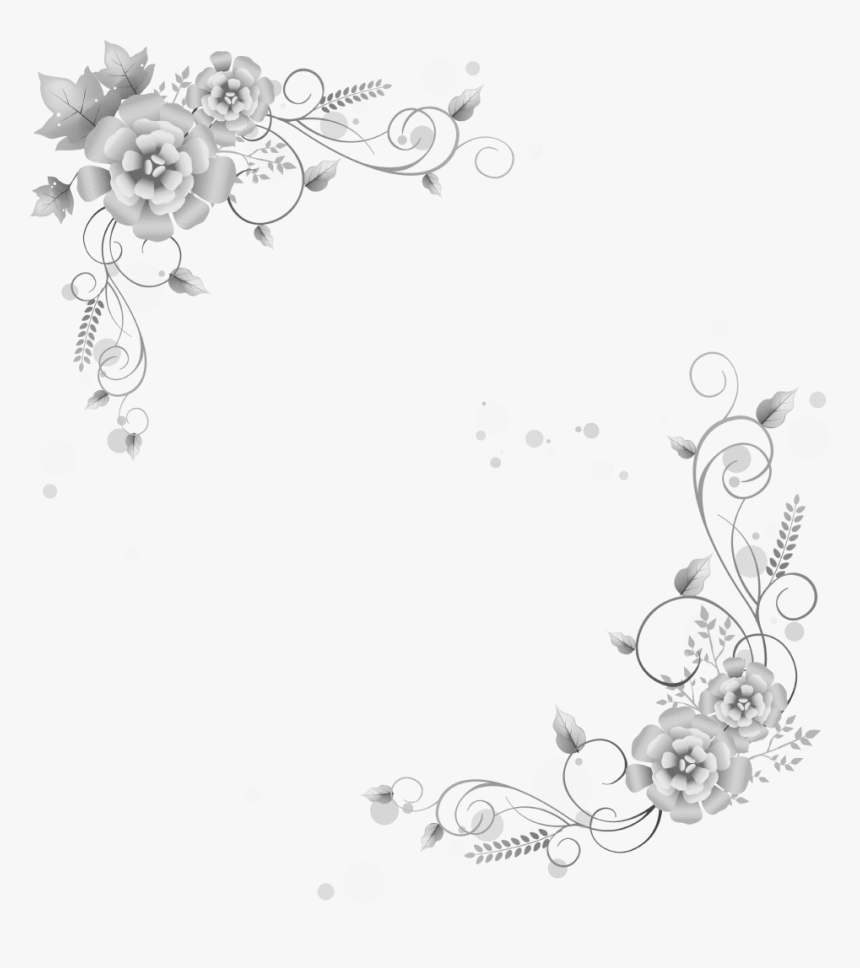 Vector Photograph White Border - 花 の イラスト フリー 素材, HD Png Download, Free Download