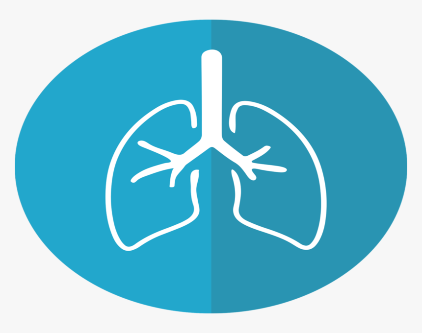 World Lung Cancer Day 2019, HD Png Download, Free Download